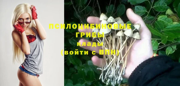 прущая мука Алзамай