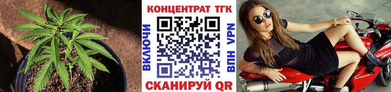 продажа наркотиков  Балашов  ТГК гашишное масло 