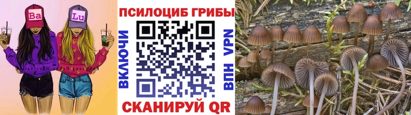 Галлюциногенные грибы мухоморы  Балашов 